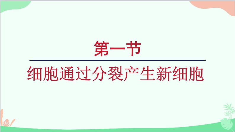 1.3.1细胞通过分裂产生新细胞课件---2024-2025学年人教版（2024）生物七年级上册第1页