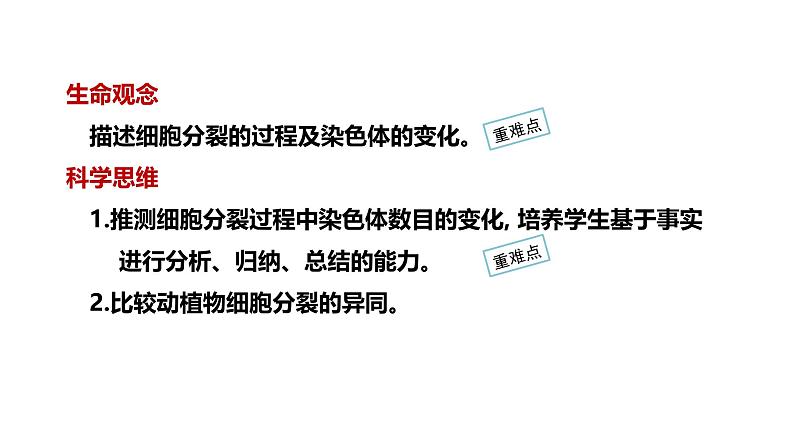 1.3.1细胞通过分裂产生新细胞课件---2024-2025学年人教版（2024）生物七年级上册第2页