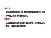 1.3.1细胞通过分裂产生新细胞课件---2024-2025学年人教版（2024）生物七年级上册