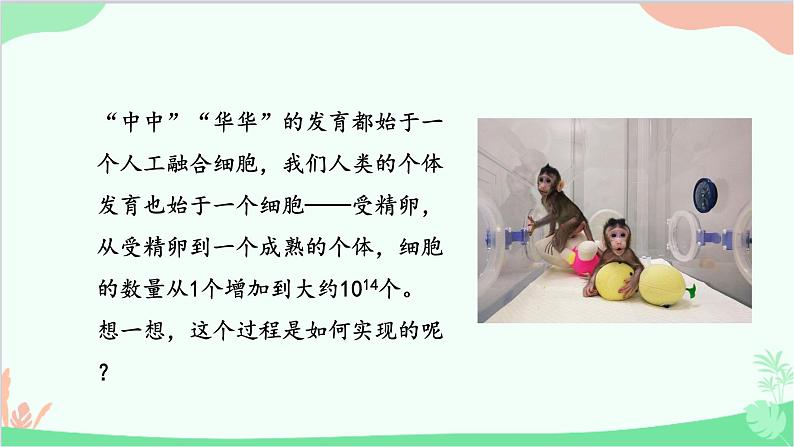 1.3.1细胞通过分裂产生新细胞课件---2024-2025学年人教版（2024）生物七年级上册第5页