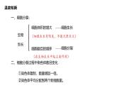 1.3.2  动物体的结构层次课件---2024-2025学年人教版（2024）生物七年级上册