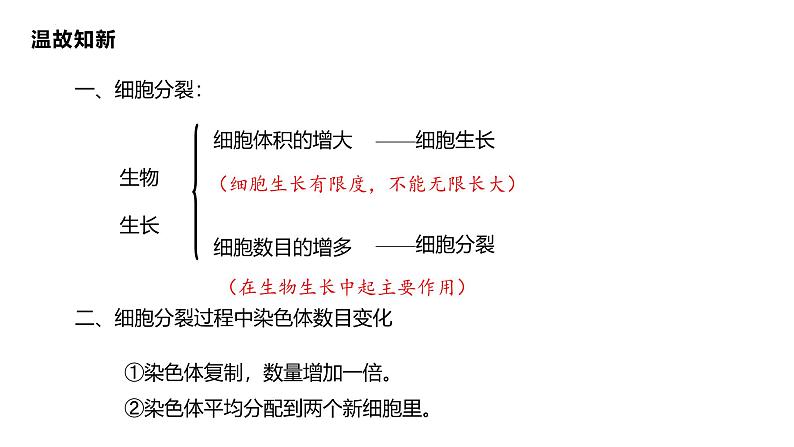 1.3.2  动物体的结构层次课件---2024-2025学年人教版（2024）生物七年级上册01