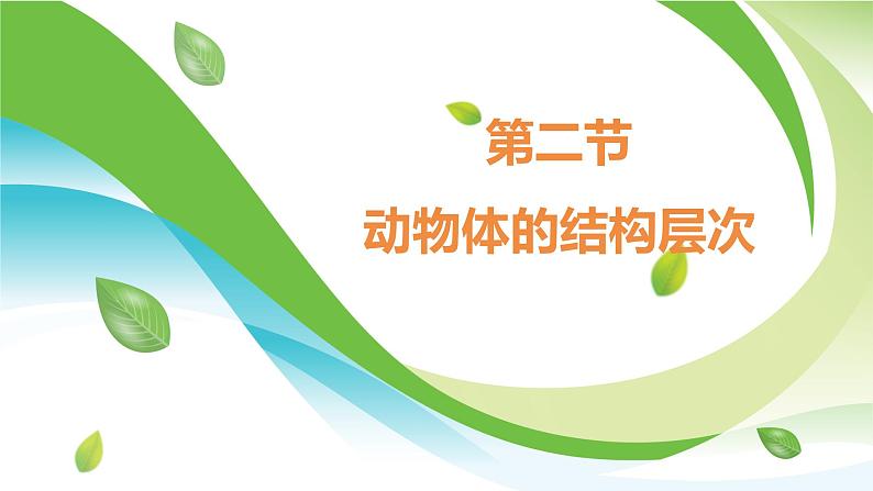 1.3.2  动物体的结构层次课件---2024-2025学年人教版（2024）生物七年级上册03