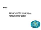 1.3.2  动物体的结构层次课件---2024-2025学年人教版（2024）生物七年级上册