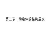 1.3.2 动物体的结构层次 习题课件---2024-2025学年人教版（2024）生物七年级上册