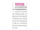 1.3.2 动物体的结构层次 习题课件---2024-2025学年人教版（2024）生物七年级上册
