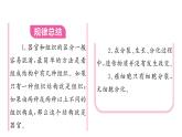 1.3.2 动物体的结构层次 习题课件---2024-2025学年人教版（2024）生物七年级上册