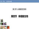 1.3.4 单细胞生物课件---2024-2025学年人教版（2024）生物七年级上册