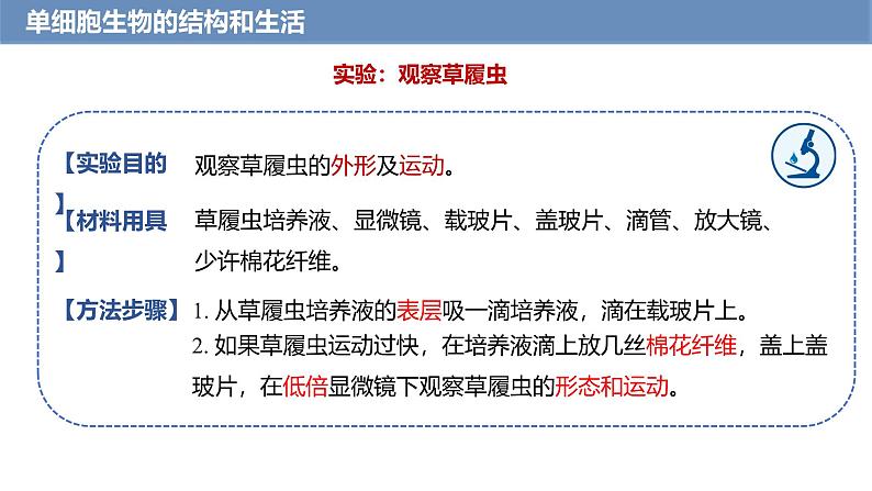 1.3.4 单细胞生物课件---2024-2025学年人教版（2024）生物七年级上册第6页