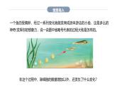 3.2  动物体的结构层次课件---2024-2025学年人教版（2024）生物七年级上册