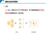 3.2  动物体的结构层次课件---2024-2025学年人教版（2024）生物七年级上册