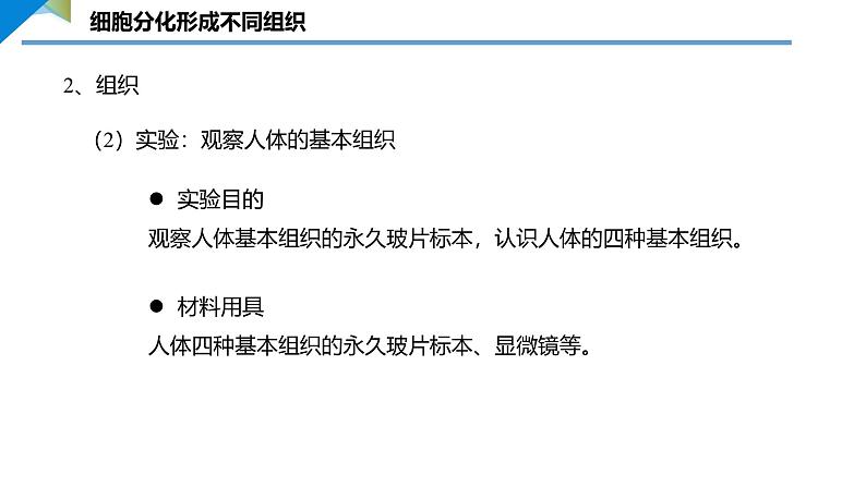 3.2  动物体的结构层次课件---2024-2025学年人教版（2024）生物七年级上册06