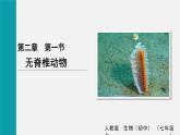 2.2.1 无脊椎动物课件---2024-2025学年人教版（2024）生物七年级上册
