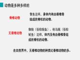 2.2.1 无脊椎动物课件---2024-2025学年人教版（2024）生物七年级上册
