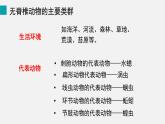 2.2.1 无脊椎动物课件---2024-2025学年人教版（2024）生物七年级上册