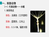2.2.1 无脊椎动物课件---2024-2025学年人教版（2024）生物七年级上册