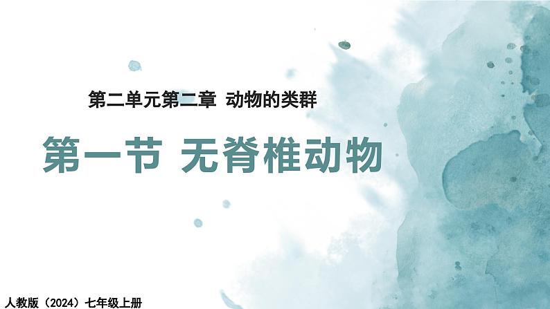 2.2.1无脊椎动物课件---2024-2025学年人教版（2024）生物七年级上册01