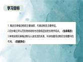 2.2.1无脊椎动物课件---2024-2025学年人教版（2024）生物七年级上册