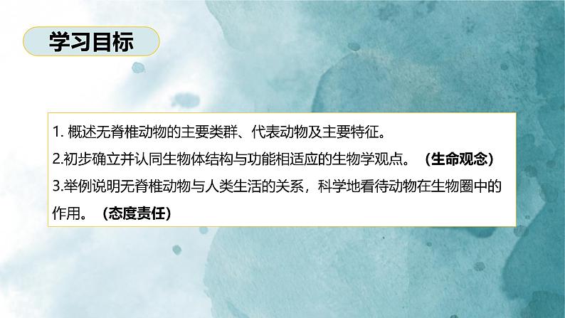 2.2.1无脊椎动物课件---2024-2025学年人教版（2024）生物七年级上册02