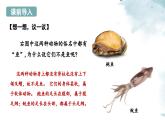 2.2.1无脊椎动物课件---2024-2025学年人教版（2024）生物七年级上册