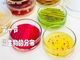 2.3.1 微生物的分布课件---2024-2025学年人教版（2024）生物七年级上册