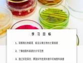 2.3.1 微生物的分布课件---2024-2025学年人教版（2024）生物七年级上册