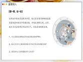 2.3.1 微生物的分布课件---2024-2025学年人教版（2024）生物七年级上册