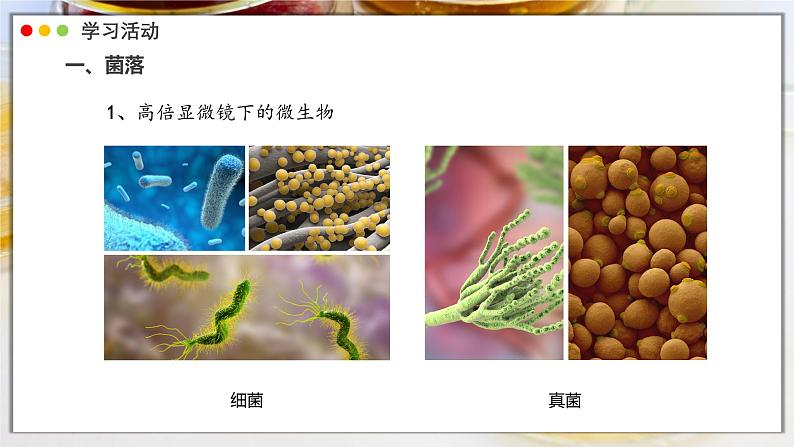 2.3.1 微生物的分布课件---2024-2025学年人教版（2024）生物七年级上册第4页