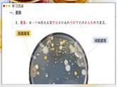 2.3.1 微生物的分布课件---2024-2025学年人教版（2024）生物七年级上册