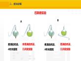 2.3.2  细菌 课件---2024-2025学年人教版（2024）生物七年级上册