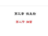 2.3.2  细菌课件---2024-2025学年人教版（2024）生物七年级上册
