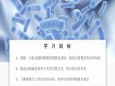 2.3.2 细菌 课件---2024-2025学年人教版（2024）生物七年级上册