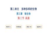 2.3.3 真菌  课件---2024-2025学年人教版（2024）生物七年级上册