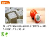 2.3.3 真菌  课件---2024-2025学年人教版（2024）生物七年级上册