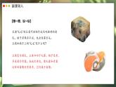 2.3.3 真菌 课件---2024-2025学年人教版（2024）生物七年级上册
