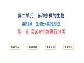 2.4.1 尝试对生物进行分类     课件---2024-2025学年人教版（2024）生物七年级上册