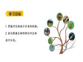2.4.1 尝试对生物进行分类     课件---2024-2025学年人教版（2024）生物七年级上册