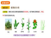 2.4.1 尝试对生物进行分类     课件---2024-2025学年人教版（2024）生物七年级上册
