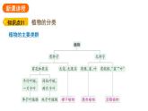 2.4.1 尝试对生物进行分类     课件---2024-2025学年人教版（2024）生物七年级上册