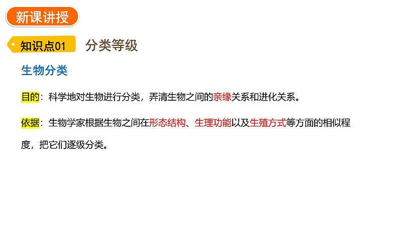 2.4.2 从种到界     课件---2024-2025学年人教版（2024）生物七年级上册04