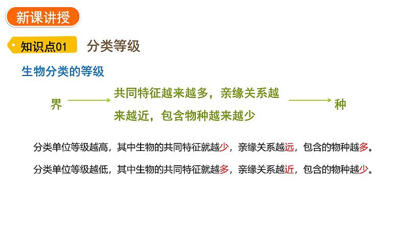 2.4.2 从种到界     课件---2024-2025学年人教版（2024）生物七年级上册06