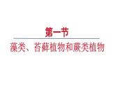 2.1.1 藻类、苔藓植物和蕨类植物课件---2024-2025学年人教版（2024）生物七年级上册