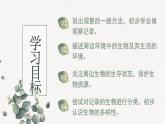 1.1.1调查周边环境中的生物课件--2024-2025学年人教版（2024）生物七年级上册