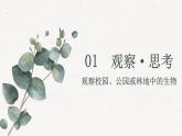 1.1.1调查周边环境中的生物课件--2024-2025学年人教版（2024）生物七年级上册