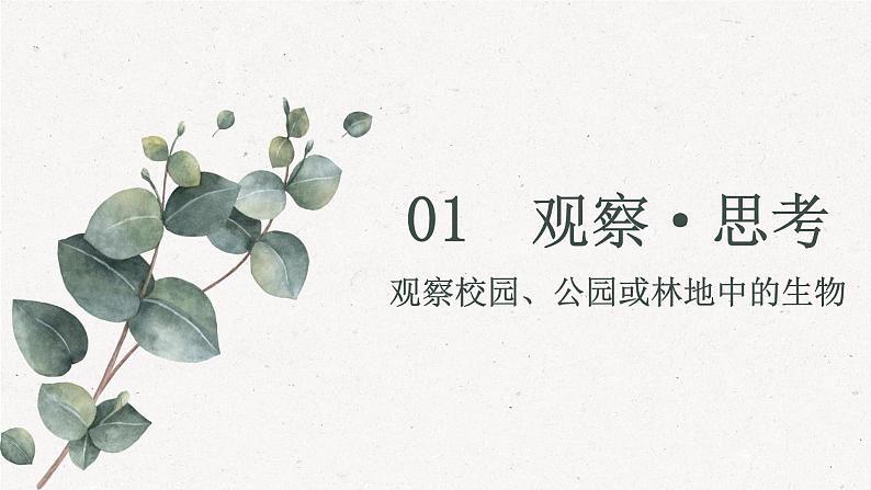 1.1.1调查周边环境中的生物课件--2024-2025学年人教版（2024）生物七年级上册第3页