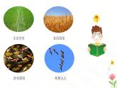 开学第一课主题课件---2024-2025学年人教版（2024）生物七年级上册
