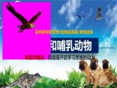 人教版生物七年级上册2.2.2-3《鸟和哺乳动物》课件