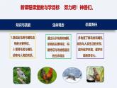 人教版生物七年级上册2.2.2-3《鸟和哺乳动物》课件
