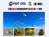 人教版生物七年级上册2.2.2-3《鸟和哺乳动物》课件