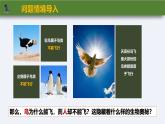 人教版生物七年级上册2.2.2-3《鸟和哺乳动物》课件